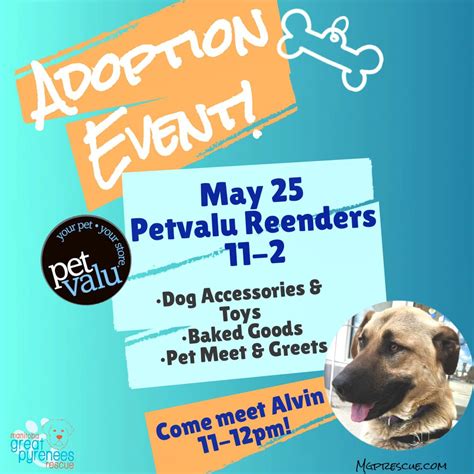 Adoption Event May 25th!, Pet Valu Reenders, Winnipeg, 25 May 2024 ...