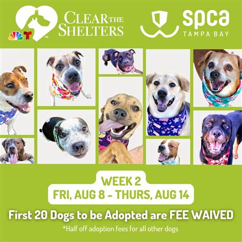 Events for February 2026