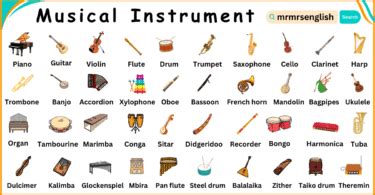 Image result for Different Types of Instruments