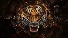Animals Wallpapers Cool Animals by Cool Animal Backgrounds Wallpaper Cave Animals Wallpapers Cool Animals