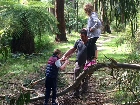 Grace Adventure Park