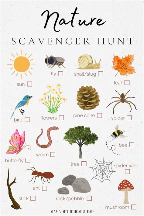 Nature Treasure Hunts