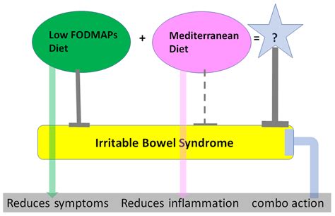 A Combination of Mediterranean and Low-FODMAP Diets for Managing IBS ...