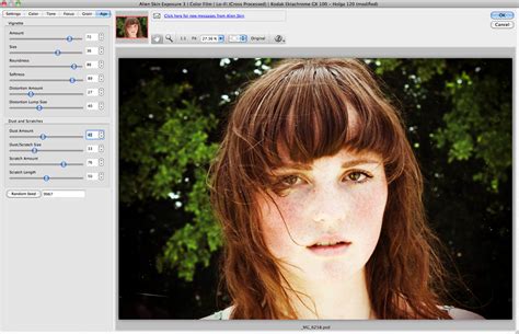 Image result for Alien Skin Exposure