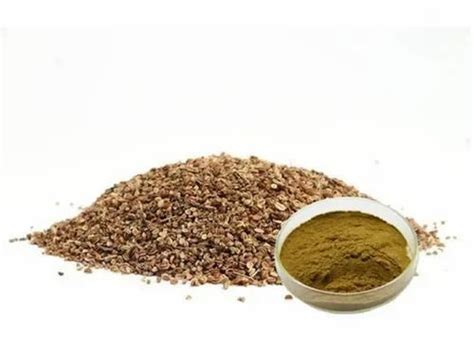Natural Herbal Extracts - Pansy (Viola Tricolor) Extracts Manufacturer ...
