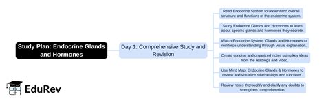 1-Day Study Plan: Endocrine Glands and Hormones - General Awareness for ...