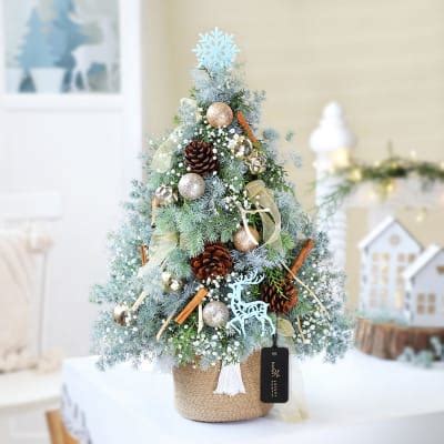 Under the Mistletoe: Order Christmas Flowers Online | Interflora India