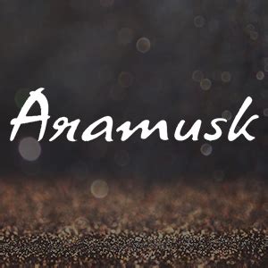 Buy Aramusk No-Gas Musk Deo for Men, 120ml Online at Low Prices in ...