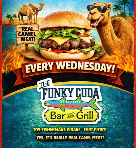 Hump Day Camel Burgers Every Wednesday at The Funky Cuda, 109 ...