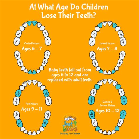 What Teeth Do Kids Lose