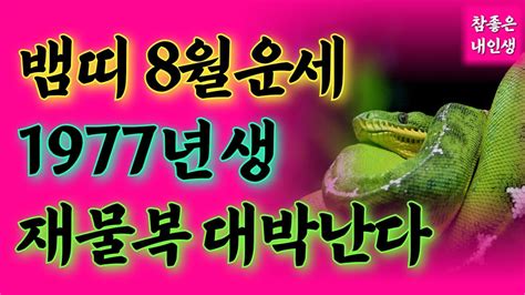 Image result for MQL4 Programming Course