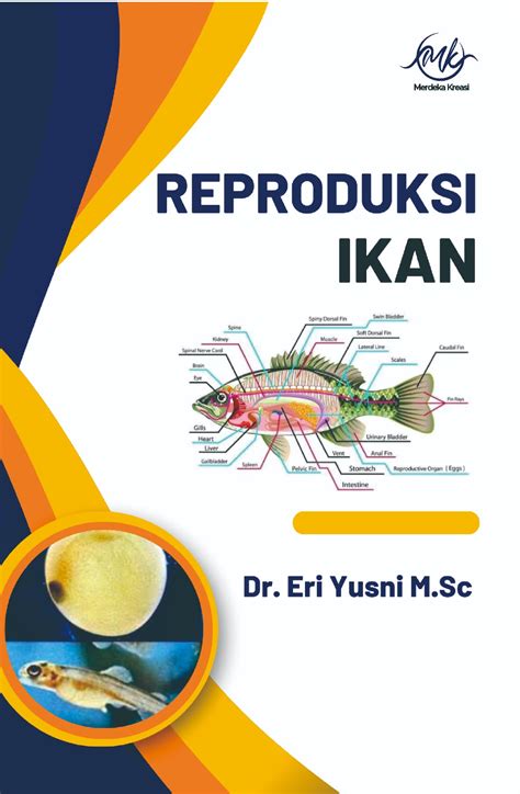 reproduksi kesehatan