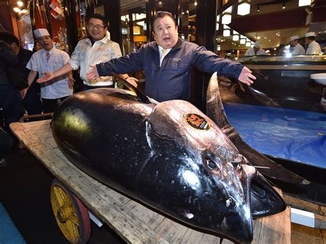 Threatened Bluefin Tuna Sells For $3 Million In Tokyo Market : NPR