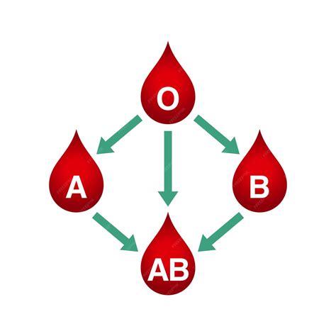 Premium Vector | Blood Types Diagram Blood Transfusion Blood Group A B ...