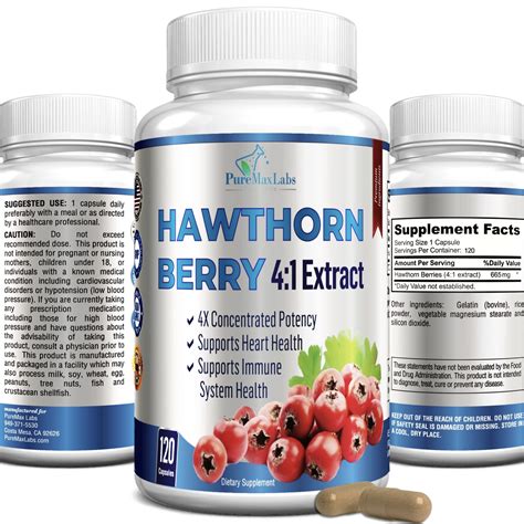Hawthorn Berry Extract Blood Pressure at Caitlyn Lavater blog