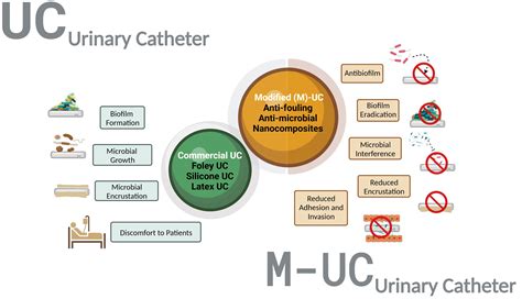 Urinary Catheter Cartoon