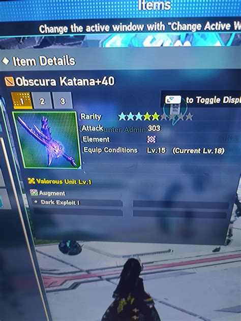 Image result for PS4 PSO2 Summoner Equip Weapon