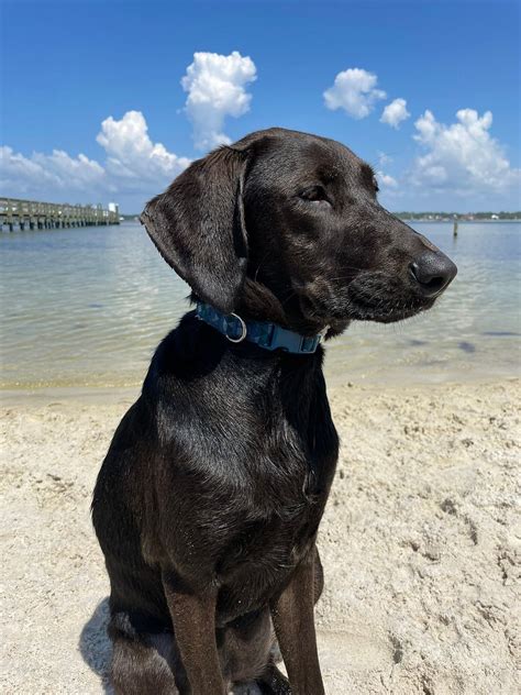 PERDIDO KEY RIVER ROAD PARK (2026) All You Need to Know BEFORE You Go ...