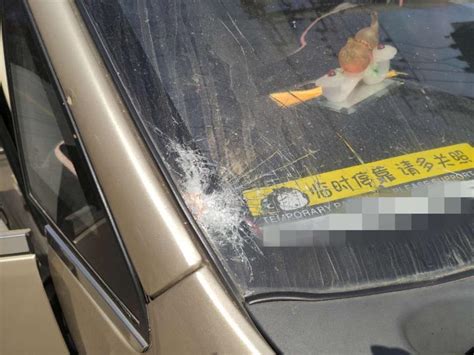 女子和男友吵架烧车泄愤最新素材