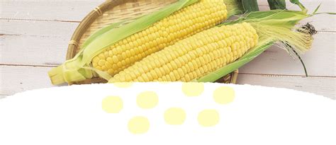 Image result for Maze Generation Algorithm