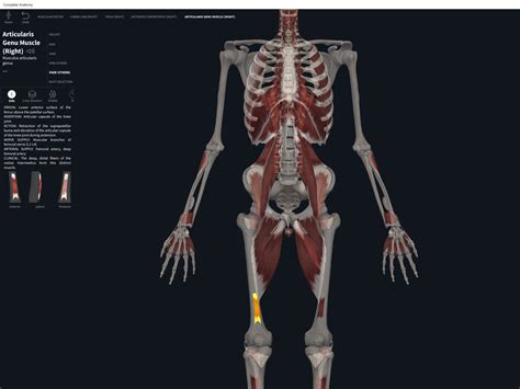 September 2018 – Page 3 – Anatomy & Physiology