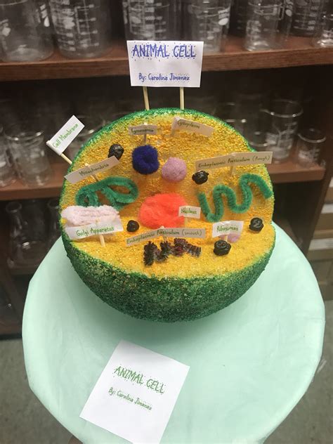 Animal Cell Cake Project Ideas