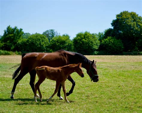 Byrn Funeral Home | Mayfield KY