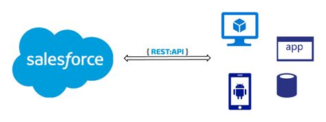 Image result for API Salesforce Tutorial