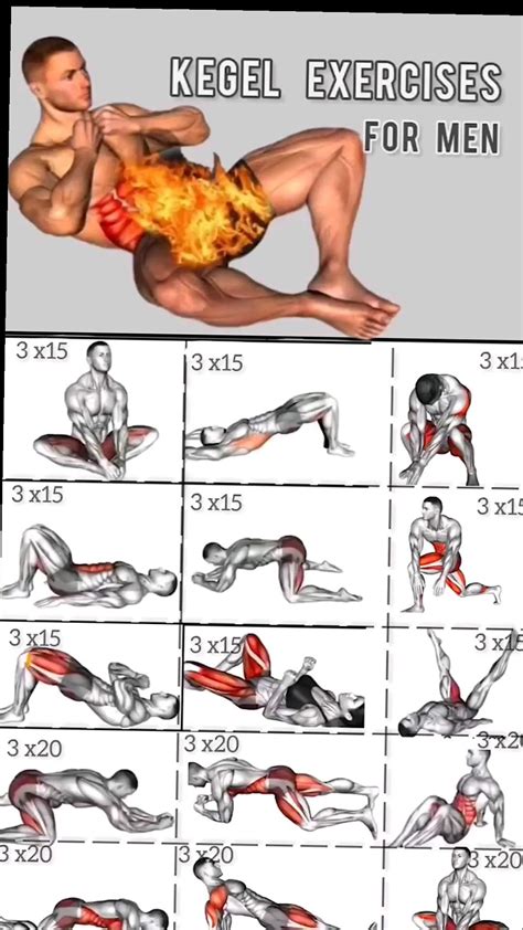 Best 11 Kegel Exercise For Men At Home in 10 Minutes – Artofit