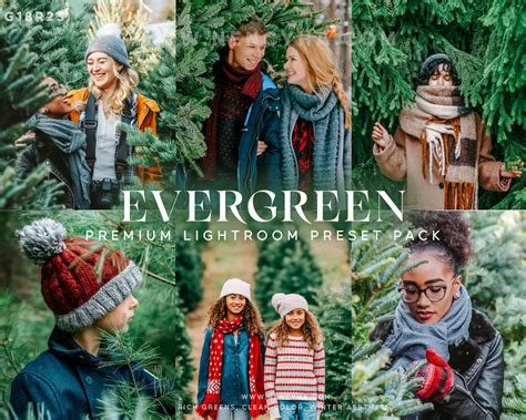 Christmas Presets — Rich Greens, Clean Color, Winter Aesthetic Presets ...