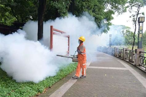 Chikungunya outbreak in China: Is this the dawn of a new medical era ...