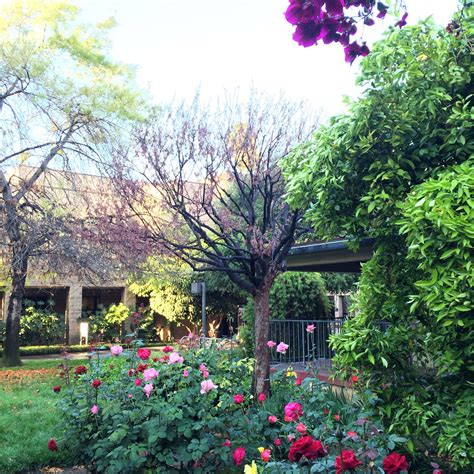 Azusa Pacific University Calendar 2024 - Printable Calendars AT A GLANCE