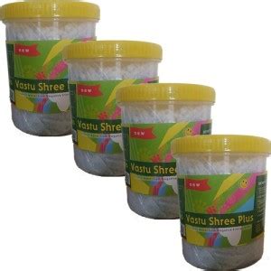 Vastu Shree Plus Floor Cleaner (1kg x 4 boxes = 4kg)) Green Apple Price ...