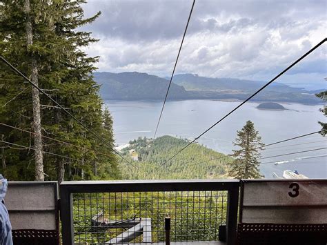 ICY STRAIT POINT ZIPRIDER (2025) All You Need to Know BEFORE You Go ...