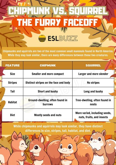 Chipmunk vs. Squirrel: A Comprehensive Comparison of Two Furry Friends ...