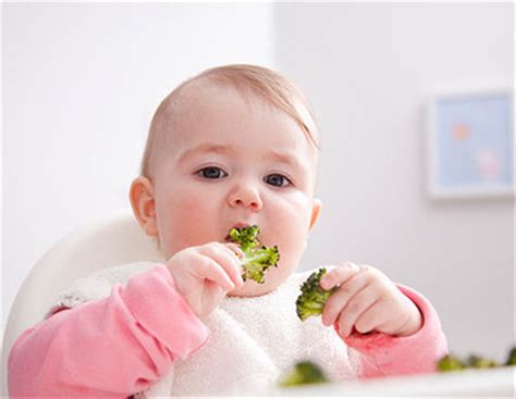 一岁宝宝的辅食食谱怎样做 一岁宝宝辅食怎么做简单又好吃_婚庆知识_婚庆百科_齐家网