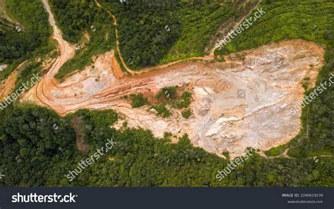 Malaysia Agriculture 的图像结果