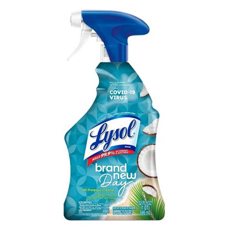 Lysol Multi Purpose Cleaner Spray, For Cleaning and Disinfecting ...