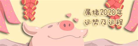 2019年精选的属猪宝宝名字大全 -好名字网