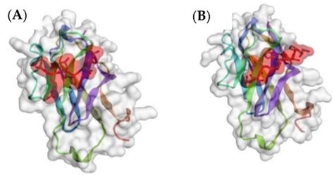 Pharmaceutics | Special Issue : Peptides and Peptide Mimetics ...