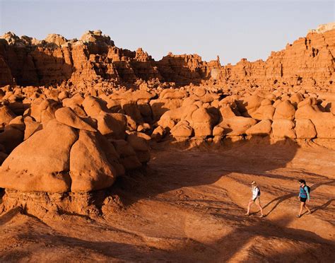 Grandfather Vineyard & Winery (2026) - All You MUST Know Before You Go ...