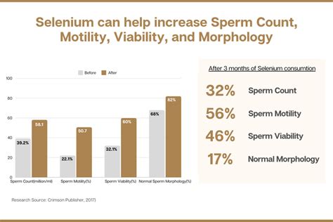 CoQ10 Support – Spellbound