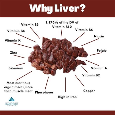 Beef Liver Benefits