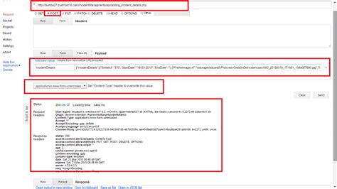HttpPost Request Example 的图像结果