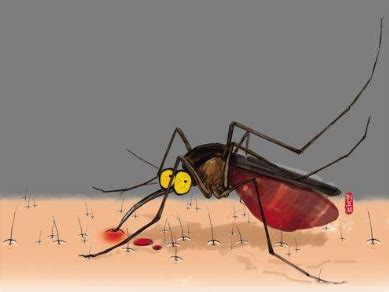 你真的了解蚊子吗？夏天来了，对待敌人你需要知己知彼|蚊子|皮肤|-健康界