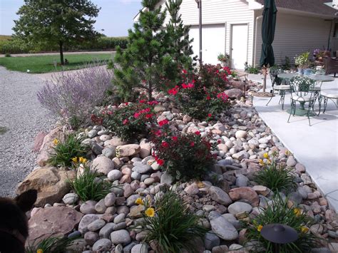 1000+ images about rock garden ideas on Pinterest | River rocks ... in ...