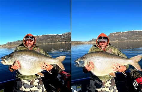 Colorado Man Catches World-Record Lake Trout | Outdoor Life