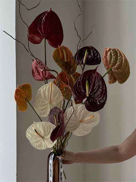 Image result for Math Assignment Sample