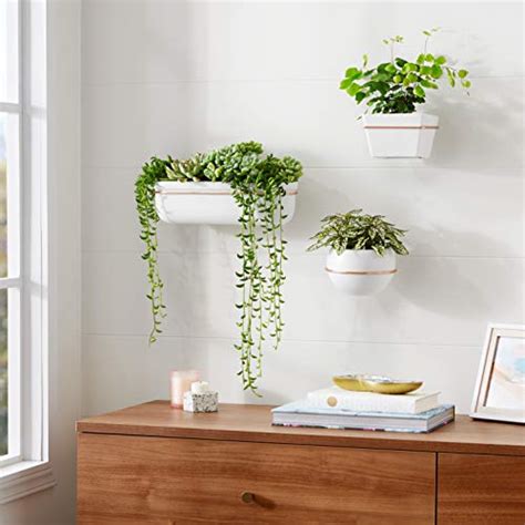 AmazonBasics Wall Planter, Square - White/Copper (3-Pack): Buy Online ...