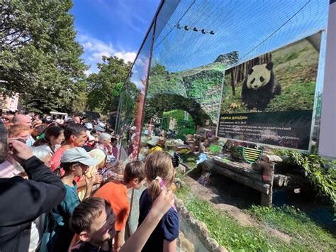 【人文风情】旅俄大熊猫“如意”和“丁丁”的战斗民族生活_动物园_政府_俄罗斯